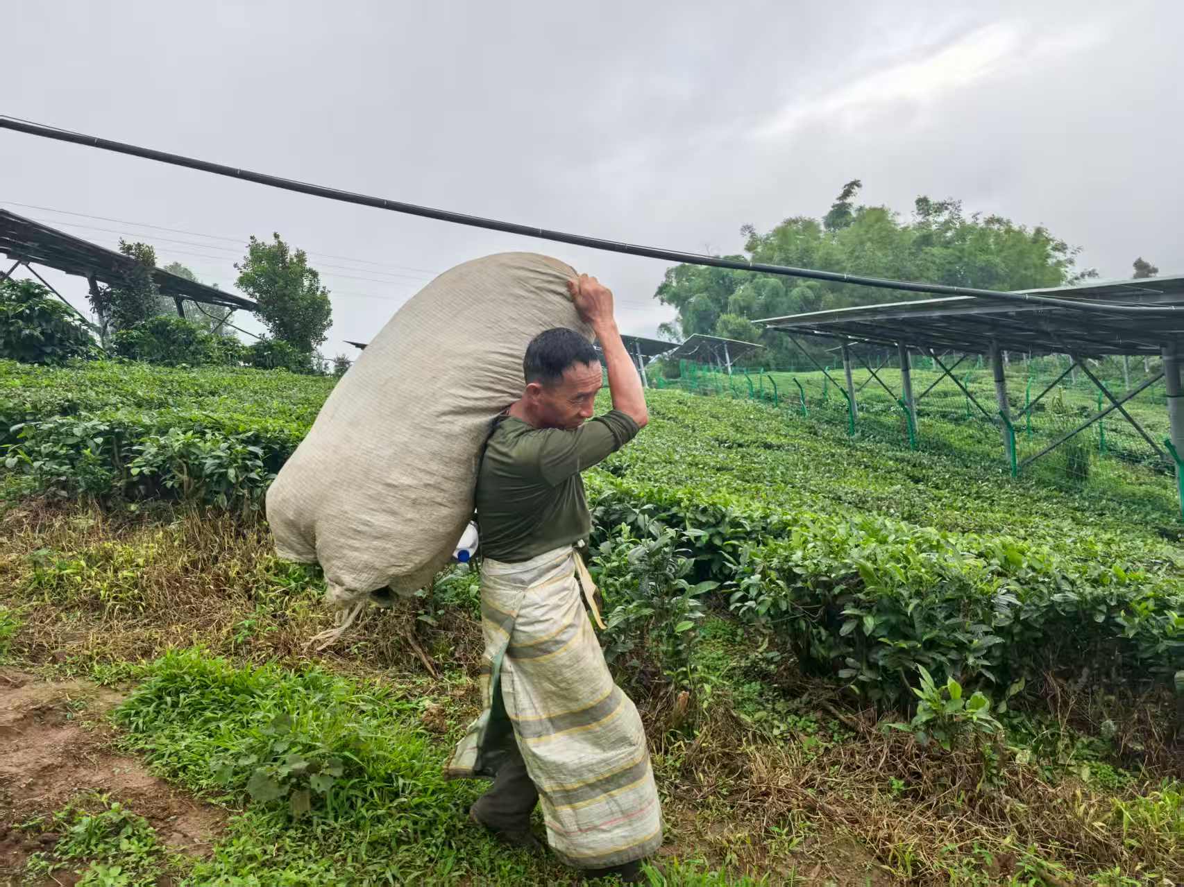 1765268882058002703.jpg aae3072334c9ca28b5ac9e190effe9cf.jpg